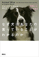 『なぜ犬はあなたの言っていることがわかるのか動物にも“心”がある』