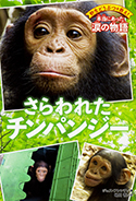 『野生どうぶつを救え! 本当にあった涙の物語さらわれたチンパンジー』