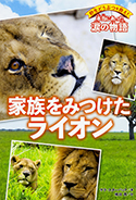 『野生どうぶつを救え! 本当にあった涙の物語家族をみつけたライオン』