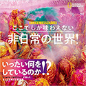 『ここでしか味わえない 非日常の世界!』