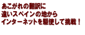 あこがれの翻訳に遠いスペインの地からインターネットを駆使して挑戦！