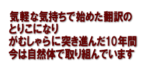 気軽な気持ちで始めた翻訳のとりこになり、がむしゃらに突き進んだ10年間。今は自然体で取り組んでいます