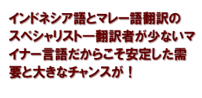 インドネシア語とマレー語翻訳のスペシャリスト―翻訳者が少ないマイナー言語だからこそ安定した需要と大きなチャンスが！