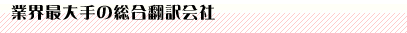 業界最大手の総合翻訳会社