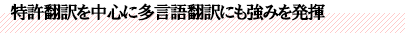 特許翻訳を中心に多言語翻訳にも強みを発揮
