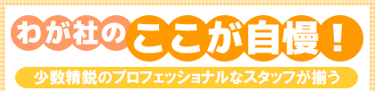わが社のここが自慢! 少数精鋭のプロフェッショナルなスタッフが揃う